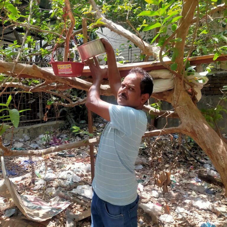 मुलुंड में ‘पक्षी आहार’ अभियान चला रहे शुलभ जैन का सराहनीय उपक्रम, उद्यानों व मैदानों में पानी की व्यवस्था