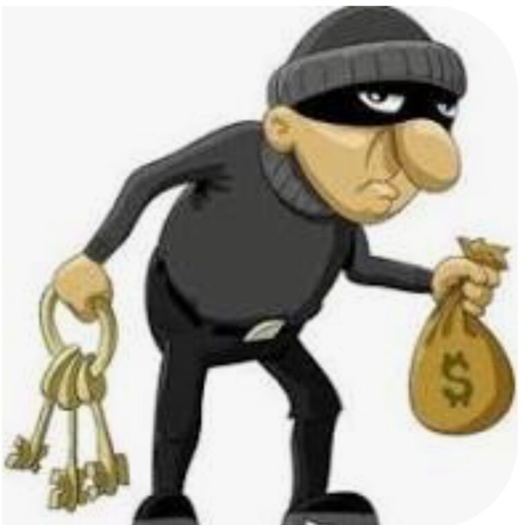 बड़ागांव थाना क्षेत्र में चोरों की बहार, बंद पड़े मकानों को बना रहे अपना शिकार