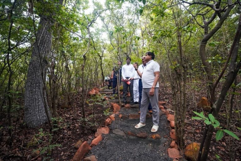 प्राकृतिक सौंदर्य से भरपूर बैतूल का कुकरू: इस मानसून जरूर करें मध्य भारत के इस शानदार हिल स्टेशन की सैरप्राकृतिक सौंदर्य